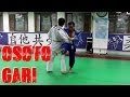 Osoto Gari by 7th Dan Korean Master (밭다리후리기)