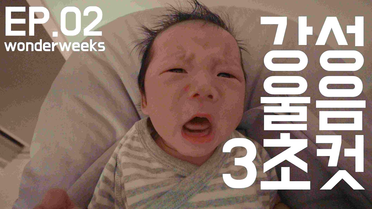 EP.02 원더윅스 시작 (feat. 쪽쪽이)