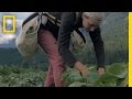 The call of the land meet the next generation of farmers  short film showcase
