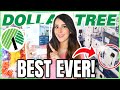 20 *NEW* Dollar Tree items YOU should buying this June 2023