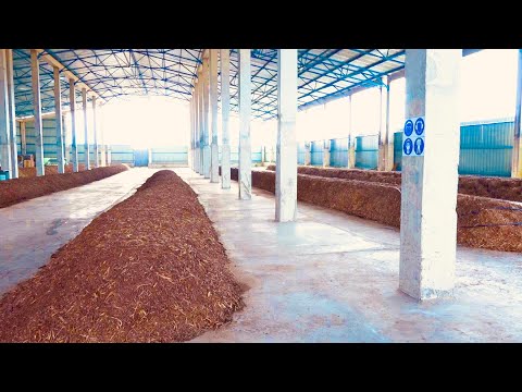 ქუთაისში საკომპოსტე ცენტრი  მოეწყო, სადაც მწვანე ნარჩენები გადამუშავდება და კომპოსტი მიიღება