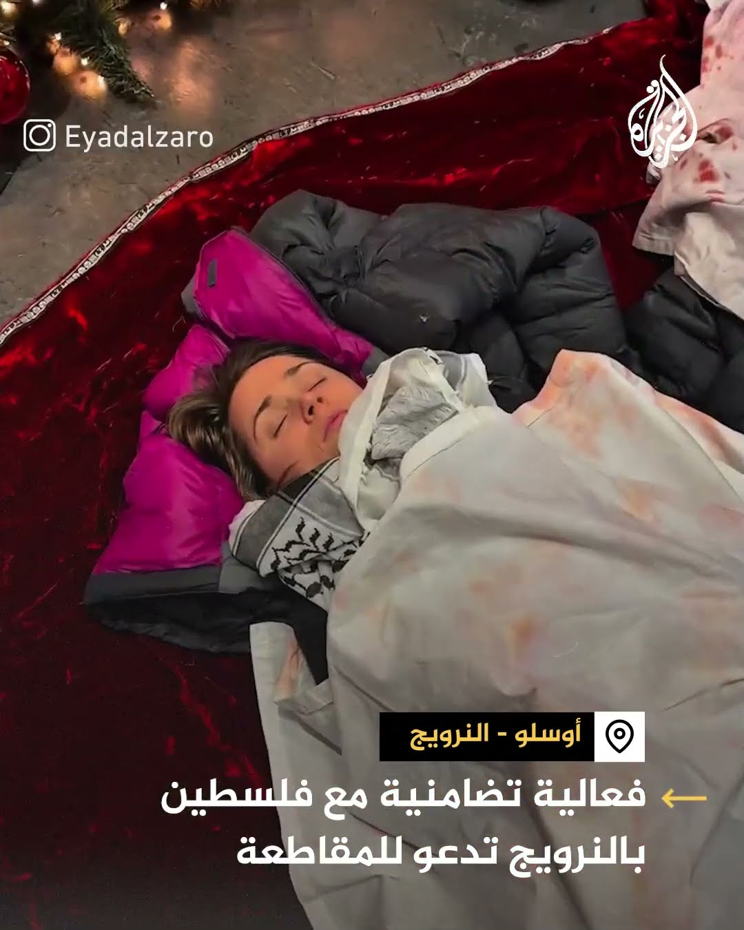 فعالية تدعو للمقاطعة تضامنا مع فلسطين في النرويج