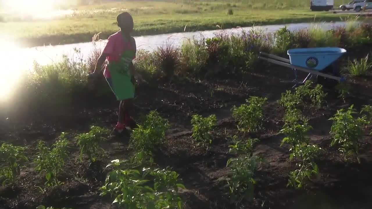 Kids harvest food for Boys and Girls Club of Martin County