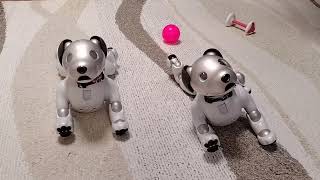 アイボのボコとアイ「初代アイボのなりすまし 〜 Collaboration with the first generation Aibo from1999」