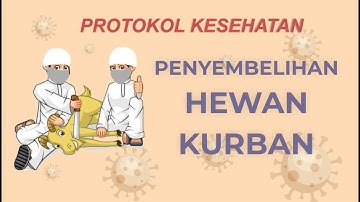 BEGINI PROTOKOL KESEHATAN PENYEMBELIHAN HEWAN KURBAN - SEHATPEDIA