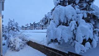 Pi Day Snowstorm Timelapse | Castle Rock, CO | 3/1315/2024