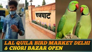 #Choribazar #Sameerlovevlogs Lal quila bird market delhi & chori bazar open