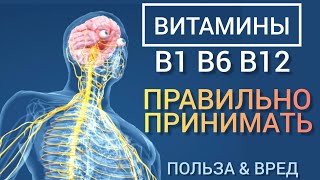 Витамины В1 В6 В12 l Польза и Вред l Ответы на вопросы l Самое главное l Vitamins B  Benefits