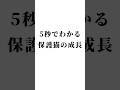 【保護猫】身体が大きくなってもお気に入りは変わらない#shorts #かわいい #猫
