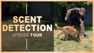 How to Teach Your Dog Scent Detection. Ep 4