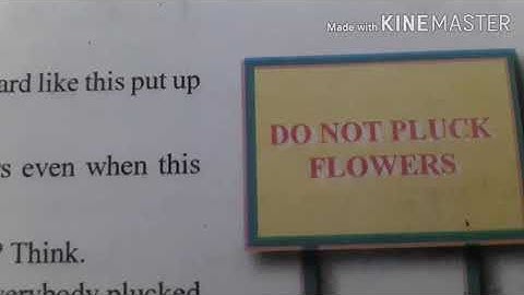 EVS  STD 4 GSEB LESSON 11 IN THE ORCHARD PART 1