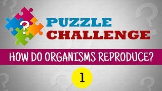 Reproduction class 10 |How do organisms reproduce | cbse | science puzzle | ncert class 10 | biology