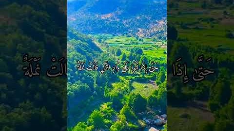 واتس اب قران كريم القارئ ياسر الدوسري من سورة (النمل)