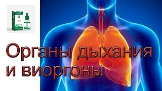 видео Антибиотики при артрите: какие пить, названия, инструкция по применению