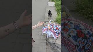 Давай дружить #актив #подпишись #друзья #весело #travel #shorts #short #shortvideo