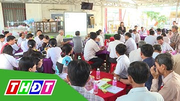 Khắc phục bệnh vàng lá, thối rễ, chết xanh trên cây có múi | THDT