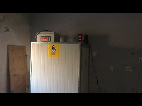 اليوم الثالت من وضع البيض داخل الفقاسة وغلق ثقوب التهوية لضبط الرطوبة فيها