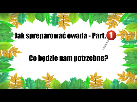 Wideo: Tarantula pająk. egzotyczne piękno