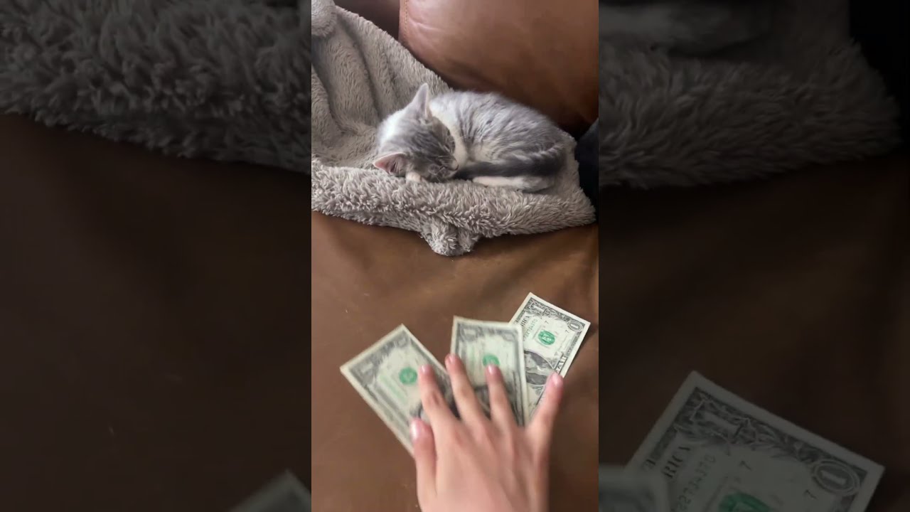3 2 26 