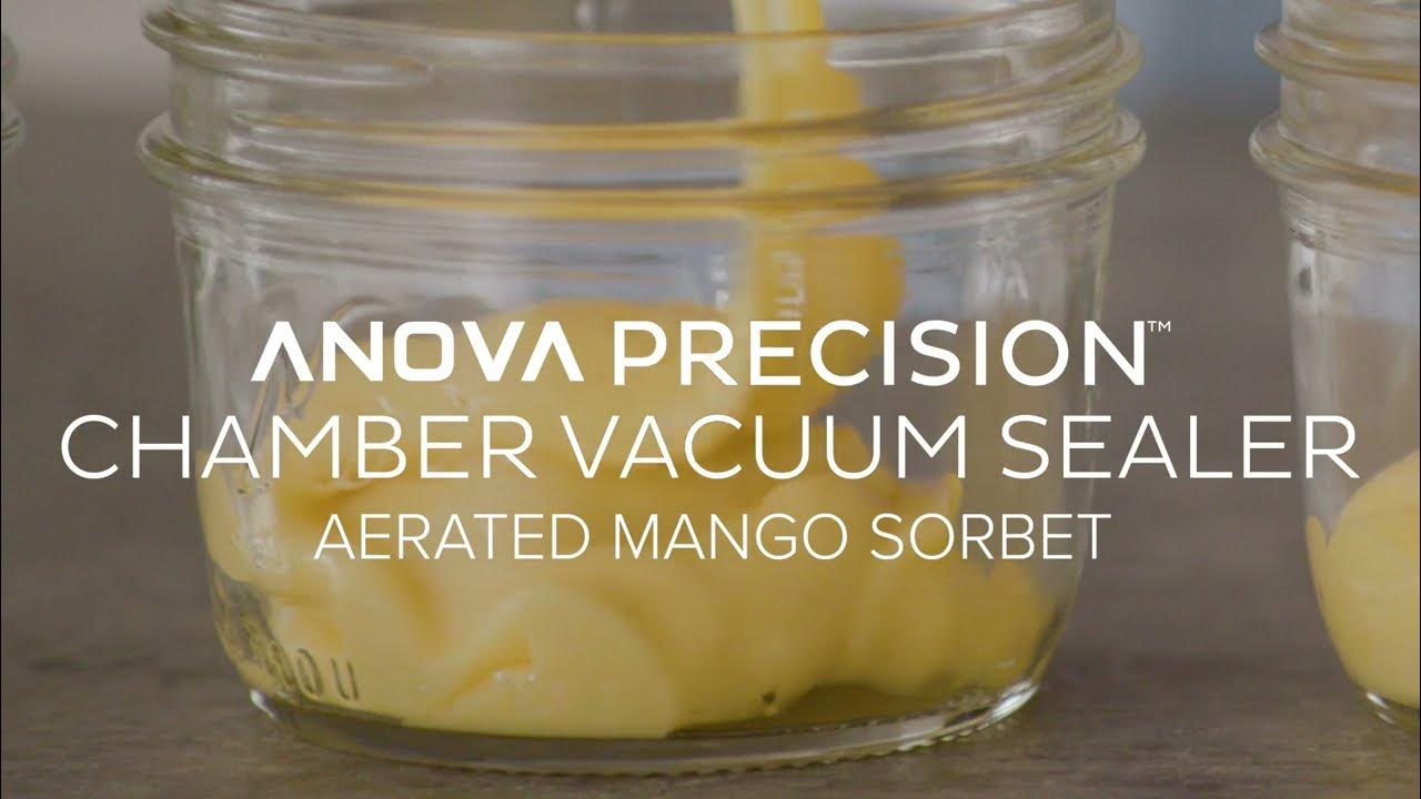 Aerated Mango Sorbet in the with the Precision™ Chamber Vacuum Sealer 