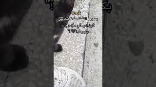 ستوريات انستا خالد فخامه?? بدون حقوق تصميم خالد  استوريات انستا مضحكه ?ََِِ