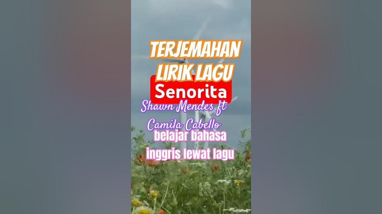Senorita -Shawn Mendes ft Camila Cabello, Terjemahan Lirik Lagu, (belajar bahasa inggris lewat lagu) Senorita -Shawn Mendes ft Camila Cabello, Terjemahan Lirik Lagu, (belajar bahasa inggris lewat lagu)