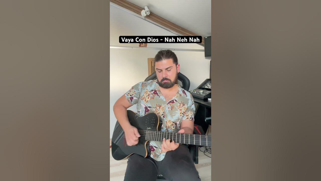 Vaya Con Dios - Nah Neh Nah Guitar Cover #guitar #nahnehnah #guitarist #godinguitars