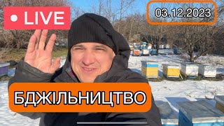 Бджільництво 🐝Розіграш ✅ Заїхав на пасіку 🐝 Прямий Ефір 03.12.2023