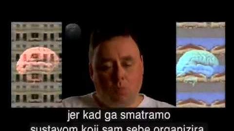 Enactive, Creative Cognition