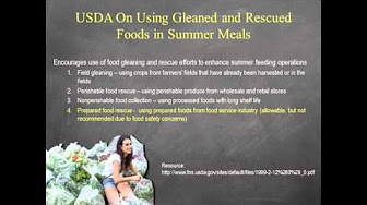 Reducing & Recovering Wasted Food in Child Nutrition Programs - YouTube
