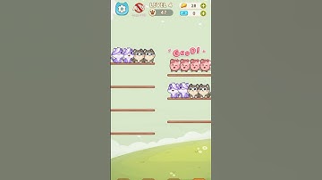 Cat Sort Puzzle - Best Tricky Kitten Game Level 4 Guide #kittens #puzzle