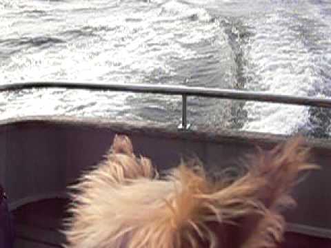 2008 05 03 伊豆旅行・船