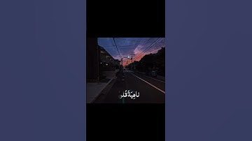 قرآن كريم بصوت جميل يريح قلبك وروحك #قران_كريم #اكسبلور #المصحف #الرحمن #اكسبلور #لايك #قران_كريم