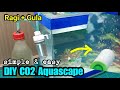 Cara Membuat CO2 Aquascape dari Ragi dan Gula (CO2 Ragul) Testing