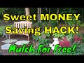 Great Homesteading Garden Hack For Getting Free Mulch!