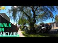 ⁴ᴷ⁶⁰ Adelaide City walk - Adelaide, South Australia 【Gopro hero 8】#20