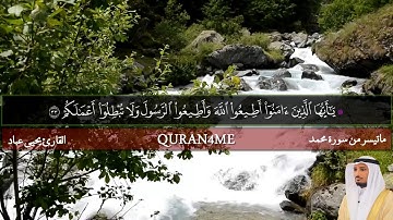 جديد القارئ يحيى عباد قراءه من اجمل القراءات _ ماتيسر من سورة محمد