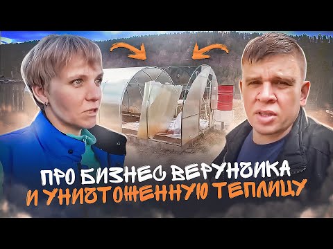 Про бизнес Верунчика, игольчатый лед, уничтоженную теплицу и другие житейские дела