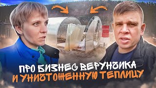 Про бизнес Верунчика, игольчатый лед, уничтоженную теплицу и другие житейские дела