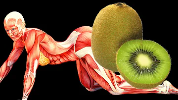 ¿Los conejos pueden comer kiwi?