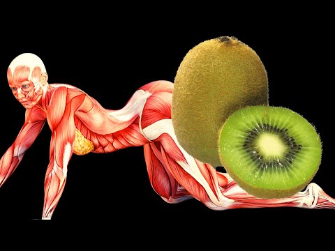 Vídeo: Caiques podem comer kiwi?