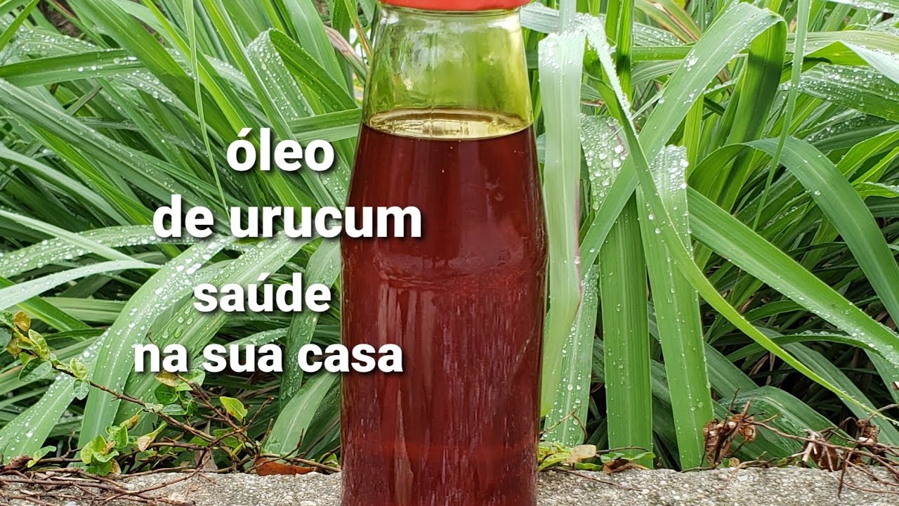 como extrair os benefícios do urucum (óleo de urucum para inúmeros fins) YouTube como extrair os benefícios do urucum (óleo de urucum para inúmeros fins) YouTube