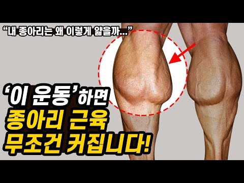 얇은 종아리를 극복하는 최고의 운동 2가지!? (feat. 비복근, 카프레이즈)