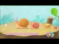Dónde Estoy Aquí Canción Caracoles 小蜗牛爬呀爬 Idioma Chino Dónde Estoy Aquí Canción Caracoles 小蜗牛爬呀爬 Idioma Chino