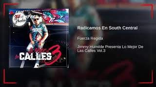 Fuerza Regida - Radicamos En South Central