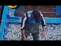 شوفو الصيادة كيفاش كيخدمو ماشاءالله الله احفظهم
