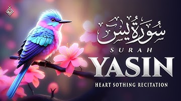 Surah Yasin (Yaseen) سورة يس | A Quiet Flow of Peaceful Tones | Al-Taqwa TV