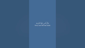 سورة العنكبوت من الآية ٥٦ إلى الآية ٥٨ #قرآن #القرآن_الكريم #عبد_الرحمن_مسعد