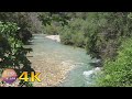 4K Calming river sounds - Forest birds singing - Ερύμανθος ποταμός Νεμούτα Ηλεία Πελοπόννησος