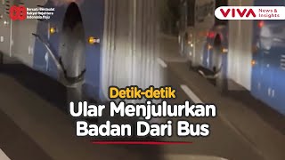 Download Lagu Ular Sanca Kejutkan Pengendara, Mendesis Dari Bodi Bus MP3 Download Lagu Ular Sanca Kejutkan Pengendara, Mendesis Dari Bodi Bus MP3